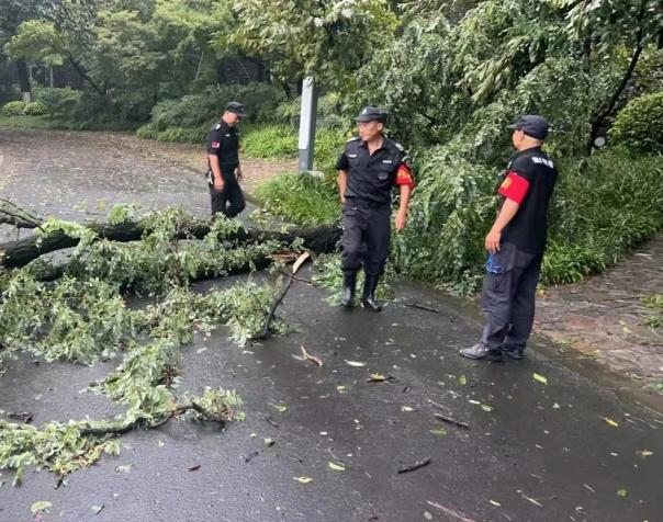 C:/Users/BA/Desktop/風(fēng)雨過后南京保安迅速行動(dòng)，恢復(fù)安“寧”面貌/7.jpg7